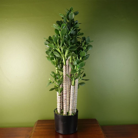 Deluxe 75cm Artificial Green Jade Plant, Premium Quality Decoration