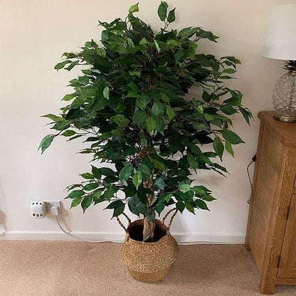 120cm Artificial Ficus Tree - Large Bushy Shape for Lush Indoor Styling