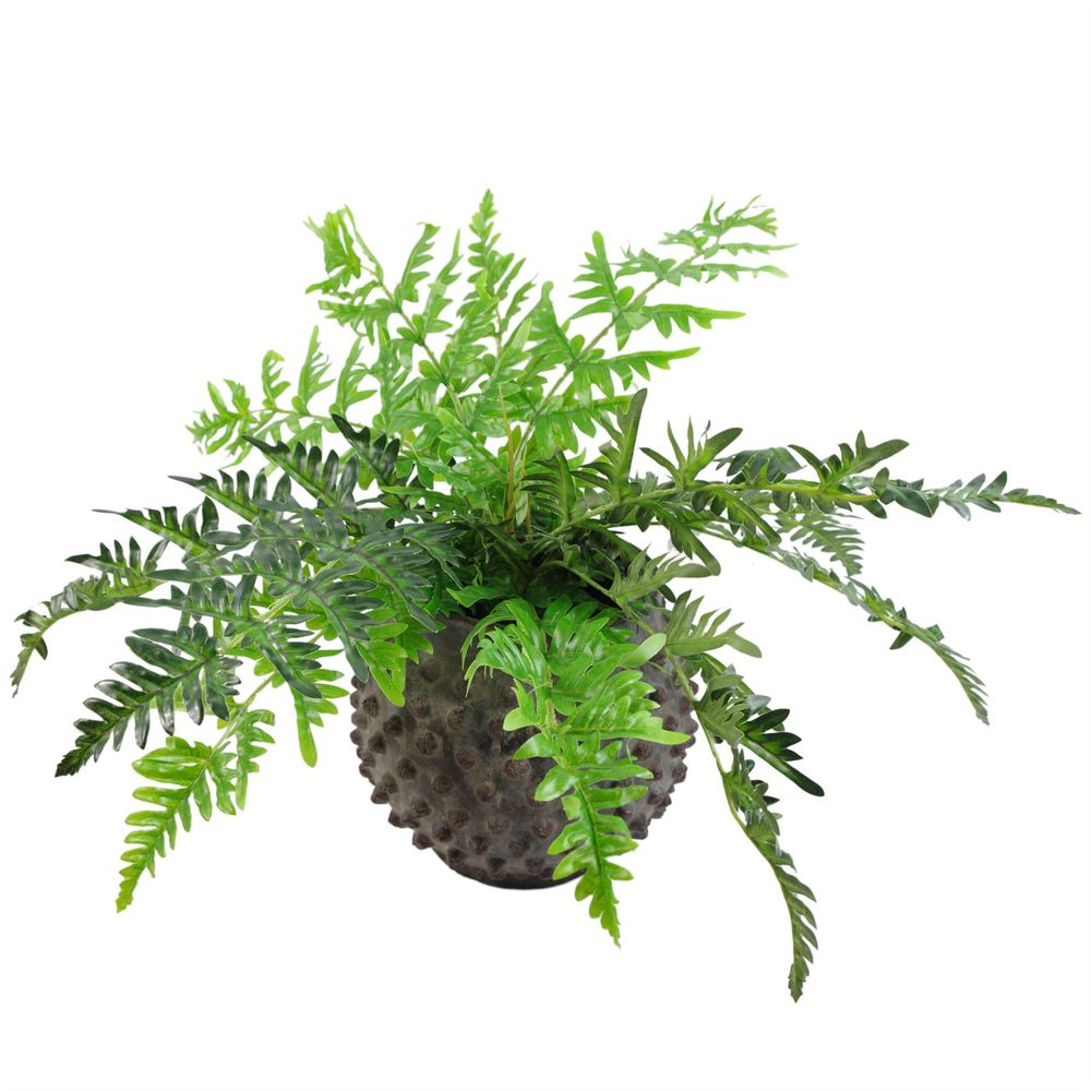 50cm Premium Artificial Evergreen Fern Plant for Chic Decor