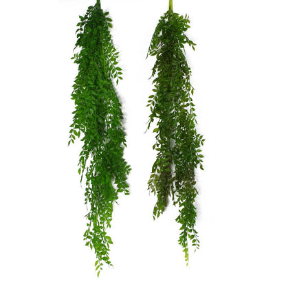 100cm Dark Green Hanging String of Pearls Fern Plant - Realistic Look
