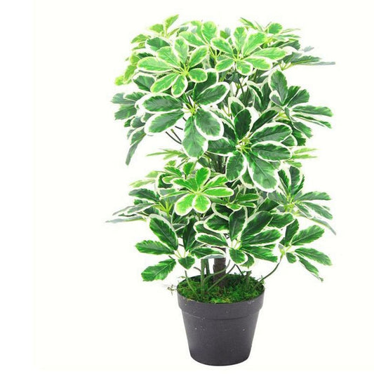 55cm Variegated Artificial Schefflera Arboricola Plant for Eye-Catching Decor