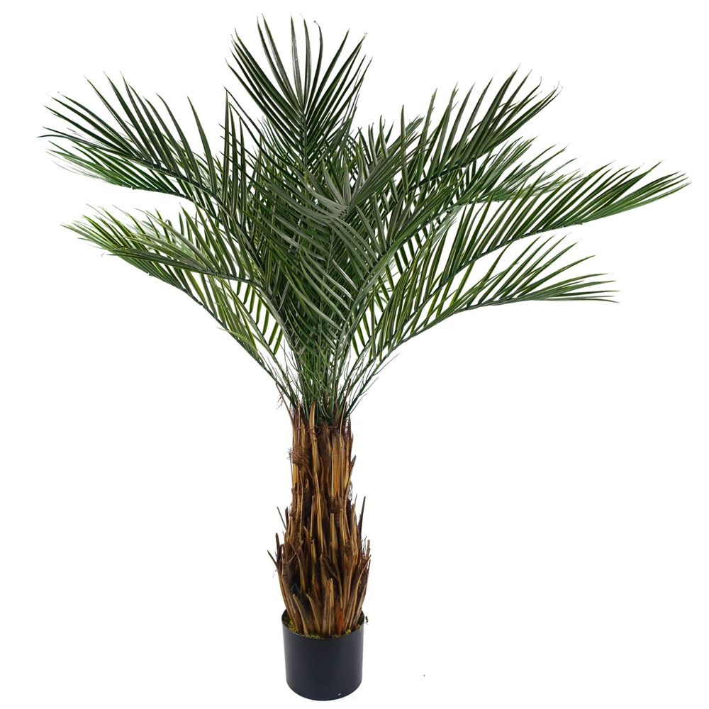 120cm UV Resistant Cycas Palm Tree - Beautiful for Outdoor Areas