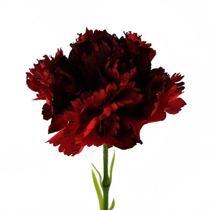 50cm Single Artificial Red Carnation Flower