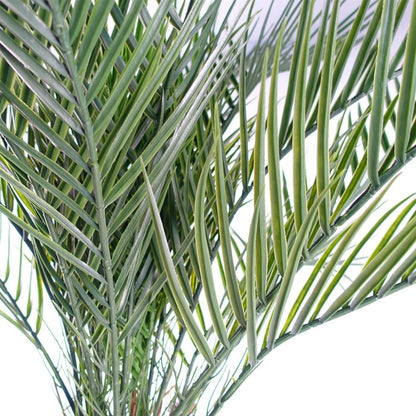 120cm UV Resistant Cycas Palm Tree - Beautiful for Outdoor Areas