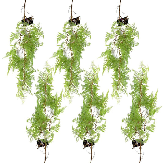 Set of 6 x 100cm Light Green Artificial Hanging Maidenhair Ferns