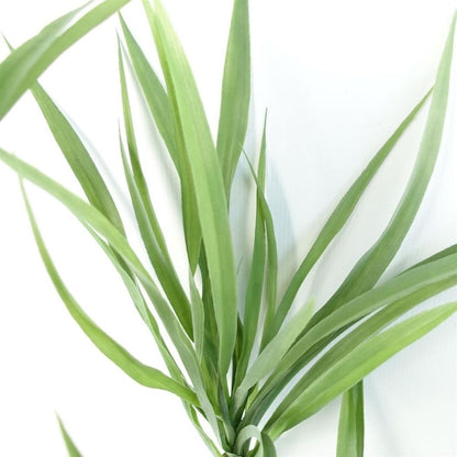 125cm Dragon Tree Dracaena - Natural Look Artificial Plant for Home