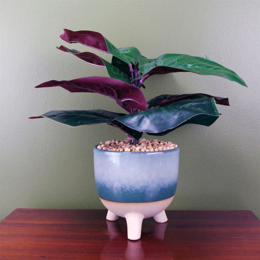 35cm Potted Artificial Ficus Plant in Teal Blue Green Ceramic Pot