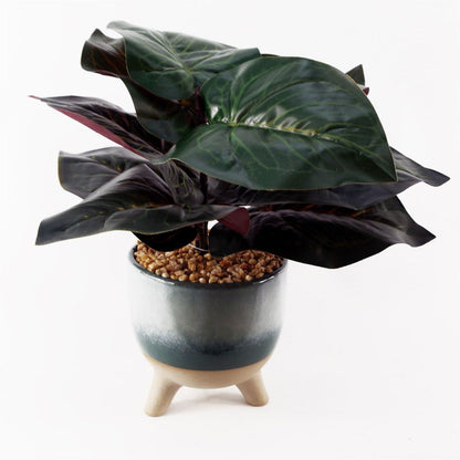 35cm Artificial Ficus Plant in Teal Blue Green Ceramic Pot