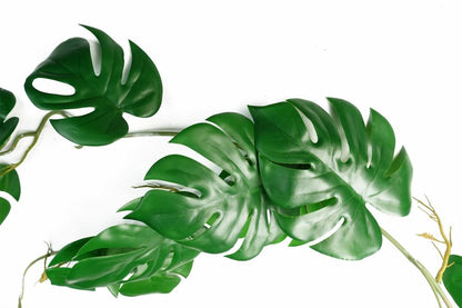 100cm Realistic Trailing Hanging Monstera Plant