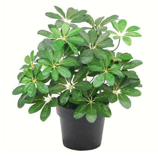 55cm Dark Green Artificial Schefflera Arboricola Plant for Stylish Home Decor