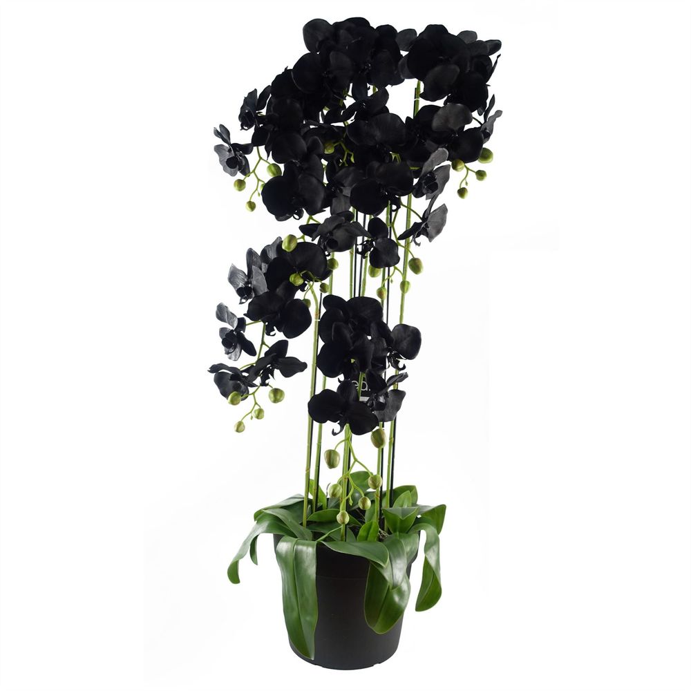 110cm Large Black Artificial Orchid Plant - 41 Real Touch Flowers