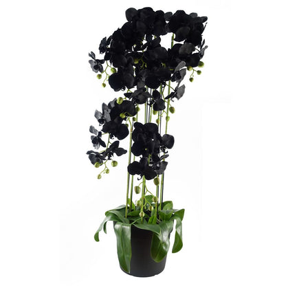 110cm Large Black Artificial Orchid Plant - 41 Real Touch Flowers