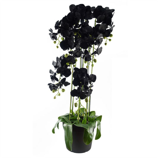 110cm Large Black Artificial Orchid Plant - 41 Real Touch Flowers