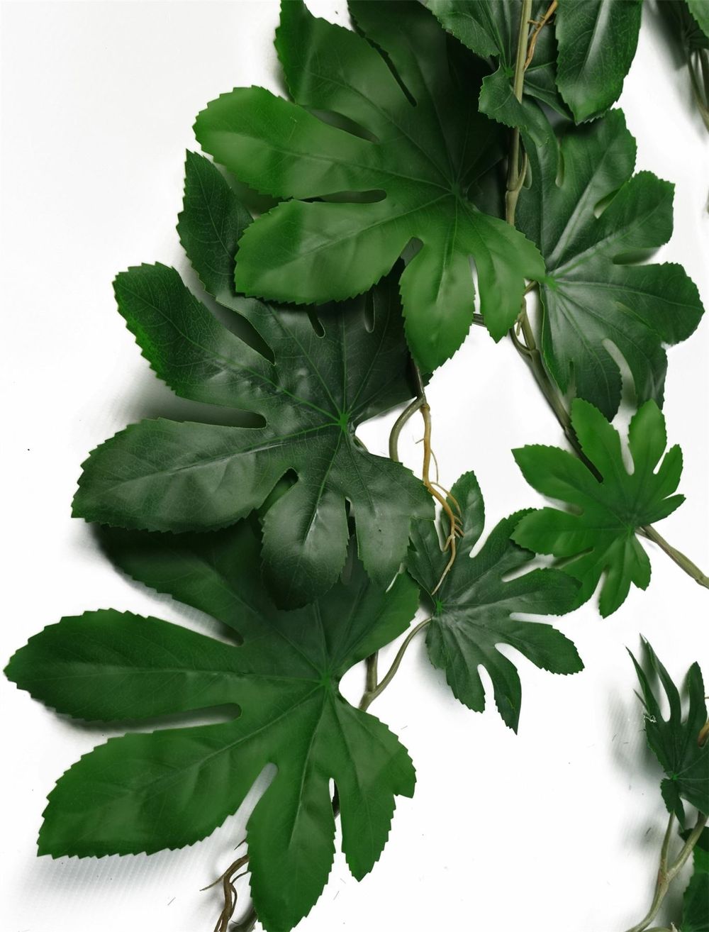 110cm Realistic Trailing Hanging Aralia Plant - Artificial