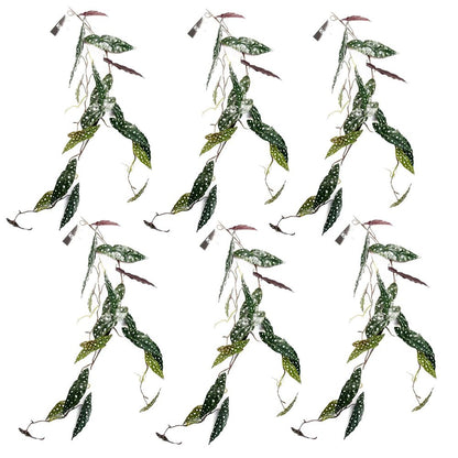 Set of 6 x 110cm Artificial Hanging Begonia Maculata - Spotted Design