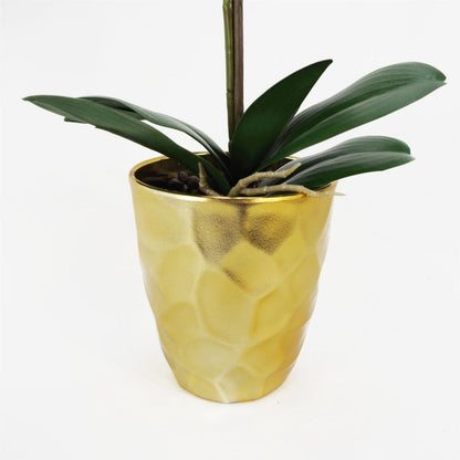 54cm Artificial Orchid Plant in White with Gold Pot for Elegant and Chic Home Decor