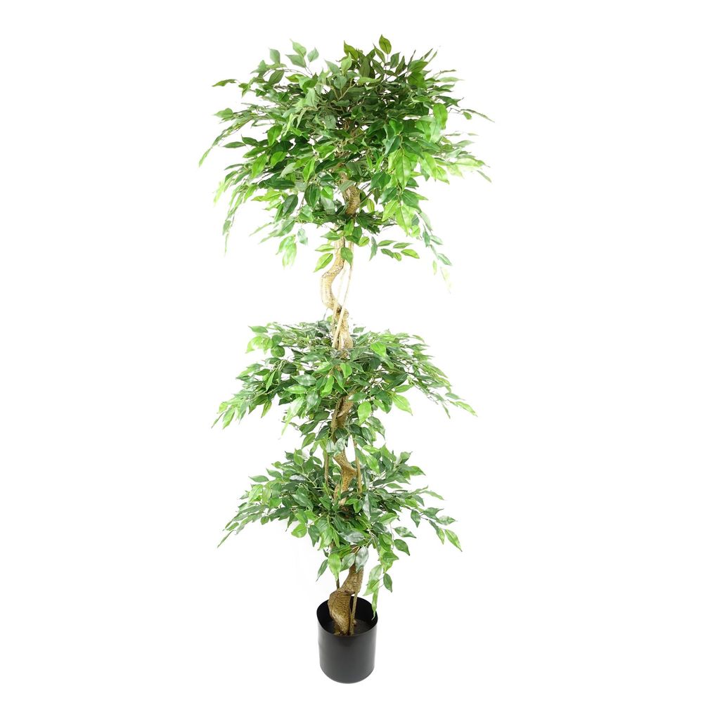 180cm Artificial Twisted Trunk Fruticosa Ficus Tree - Triple Ball Topiary - 1984 Leaves