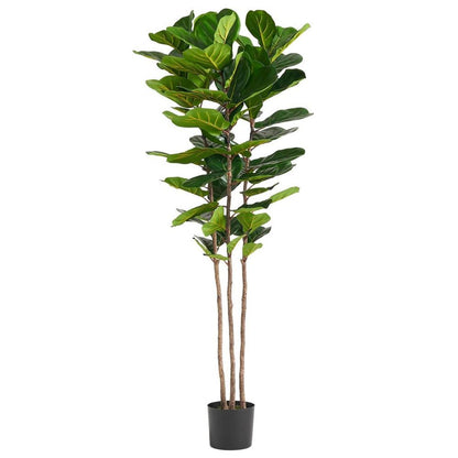 180cm Premium Fiddle Leaf Fig Tree - Lifelike Decor for Every Room