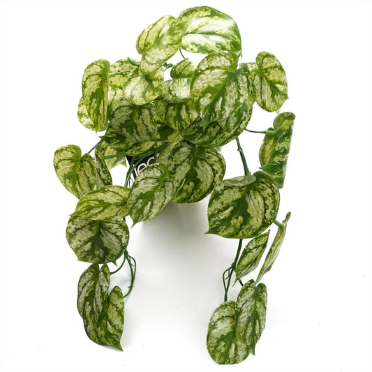 35cm Artificial Trailing Light Green Plant - Realistic