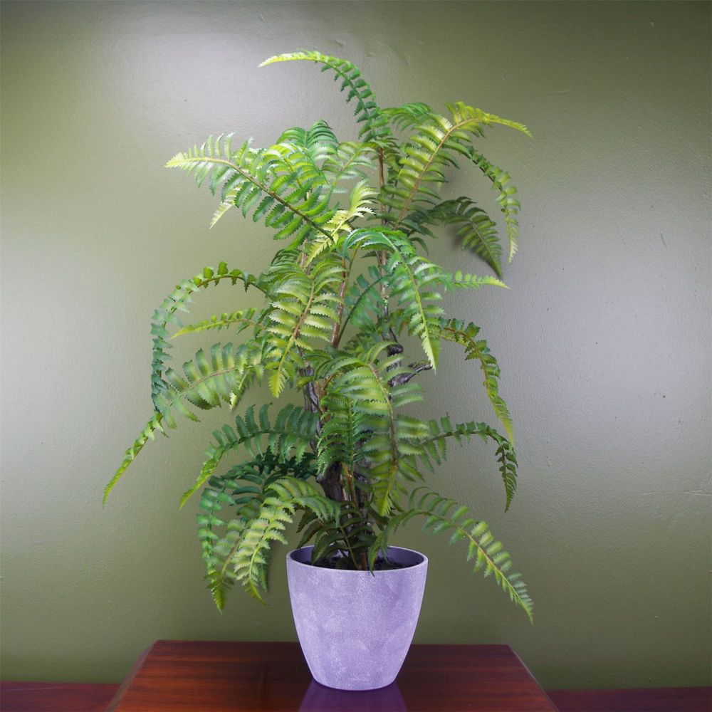 70cm Artificial Tree Fern with Decorative Planter for Stylish Decor