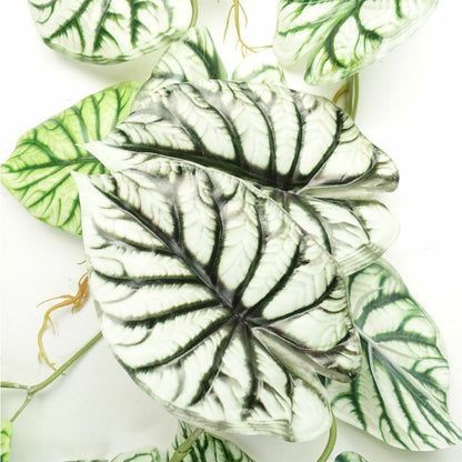 120cm Artificial Alocasia Dragon Scale Plant - Realistic Light Green Trailing Design