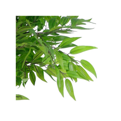 100cm Premium Mini Ruscus Tree - Luxurious Decor for Every Space