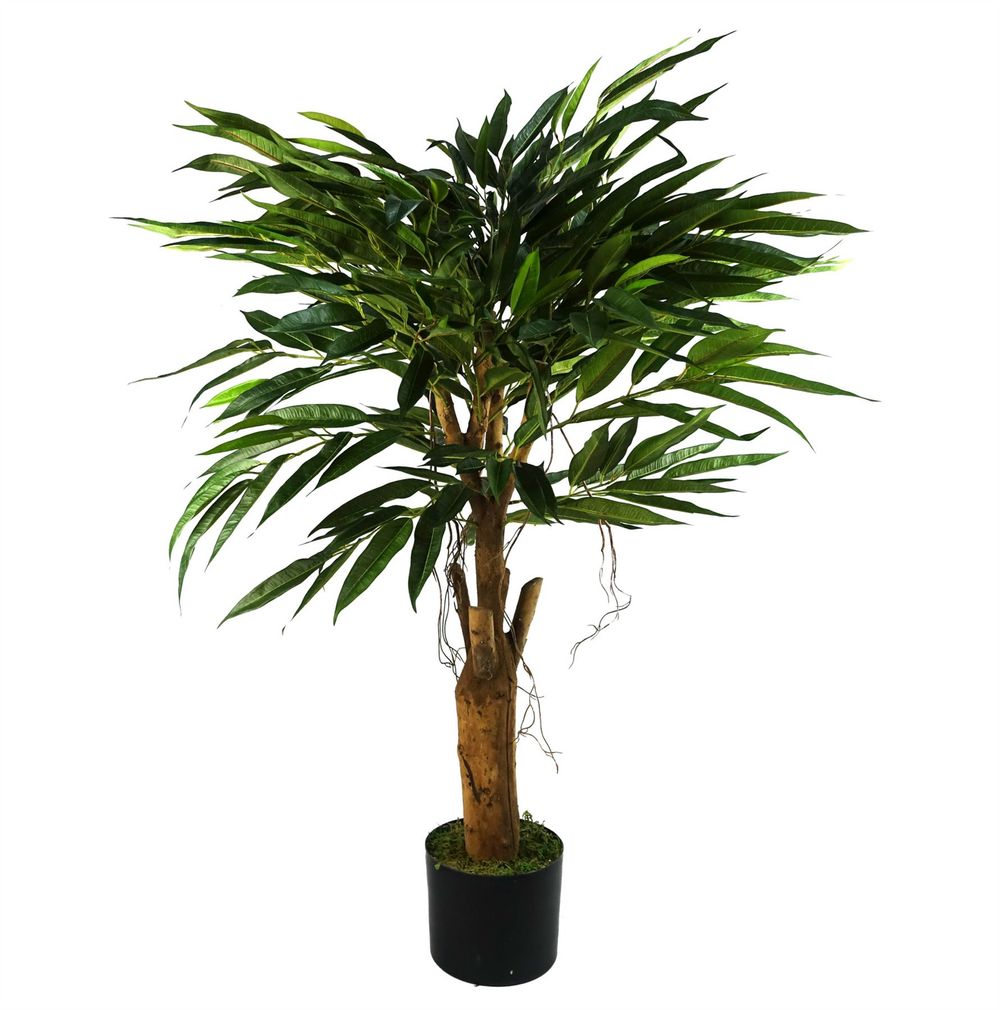 100cm Longifolia Ficus Tree - Realistic with Natural Trunk for Styling