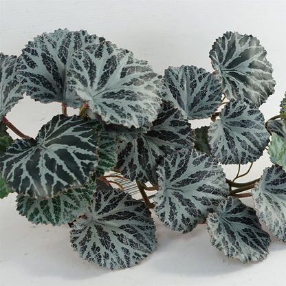 Set of 6 x 50cm Artificial Trailing Begonia Plants