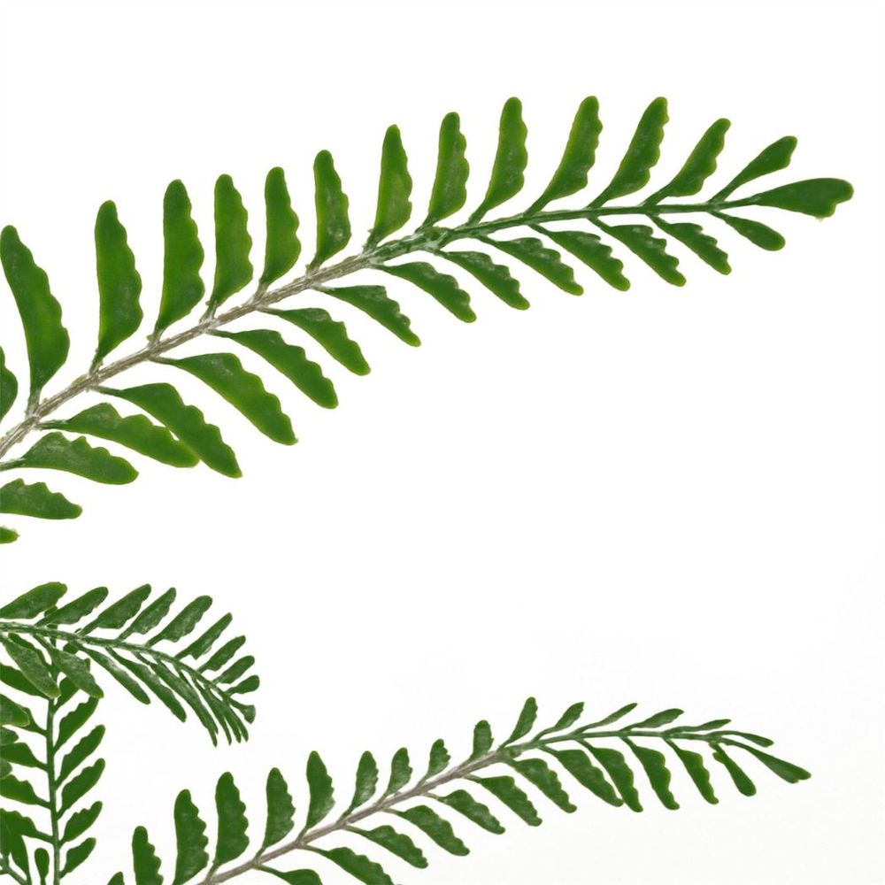 55cm Dark Green Artificial Himalayan Maidenhair Fern Bush - Lifelike Design