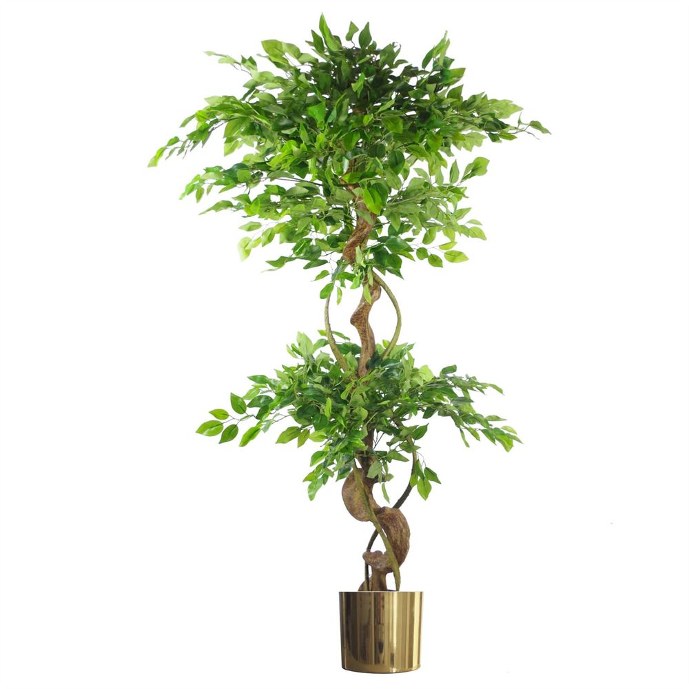 150cm Twisted Trunk Artificial Japanese Fruticosa Ficus Tree with Elegant Gold Planter