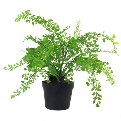 35cm Potted Southern Maidenhair Fern - Artificial Fern Plant Design