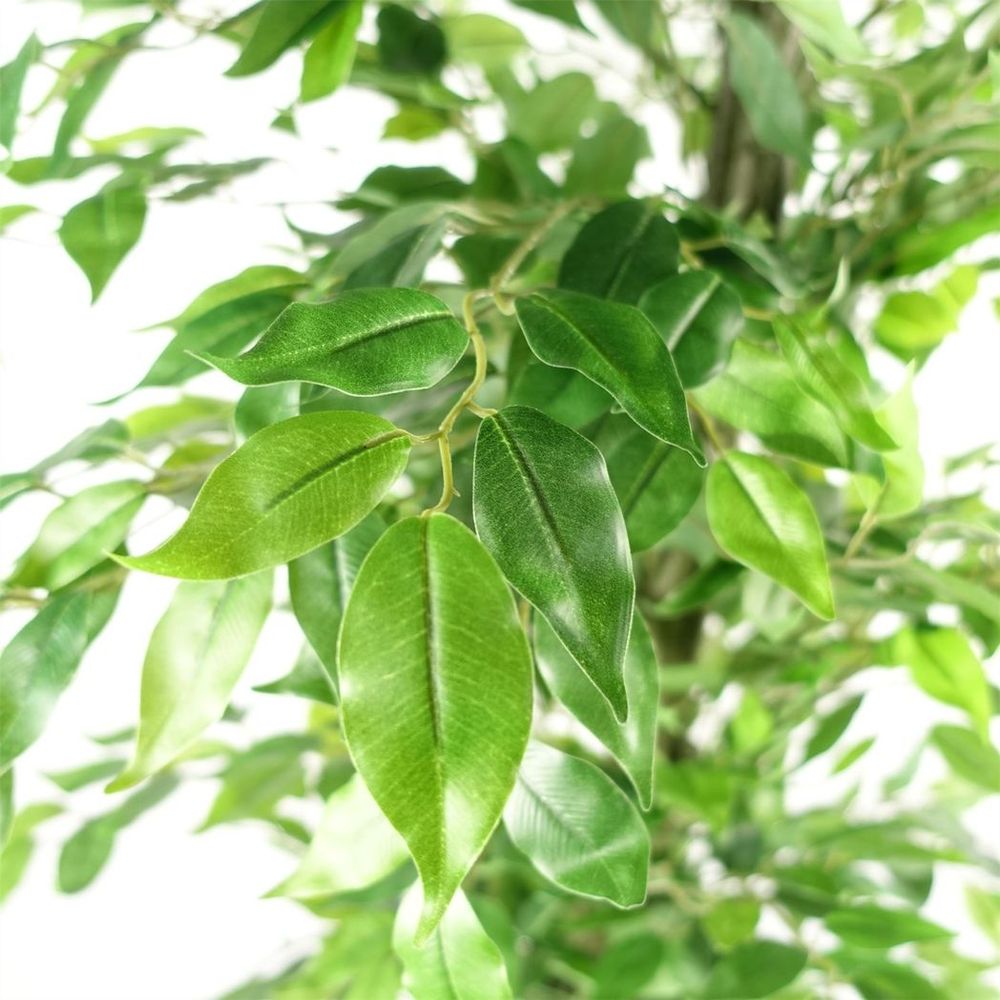 180cm Realistic Green Artificial Ficus Tree for Natural Aesthetic