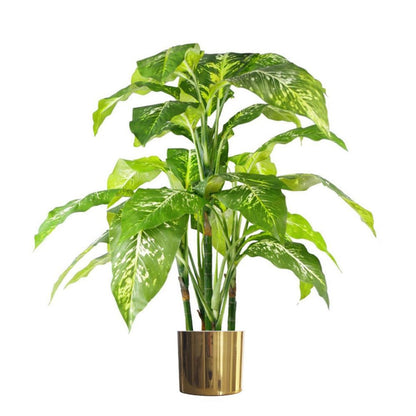 100cm Large Fox's Aglaonema (Spotted Evergreen) Tree in Gold Metal Planter