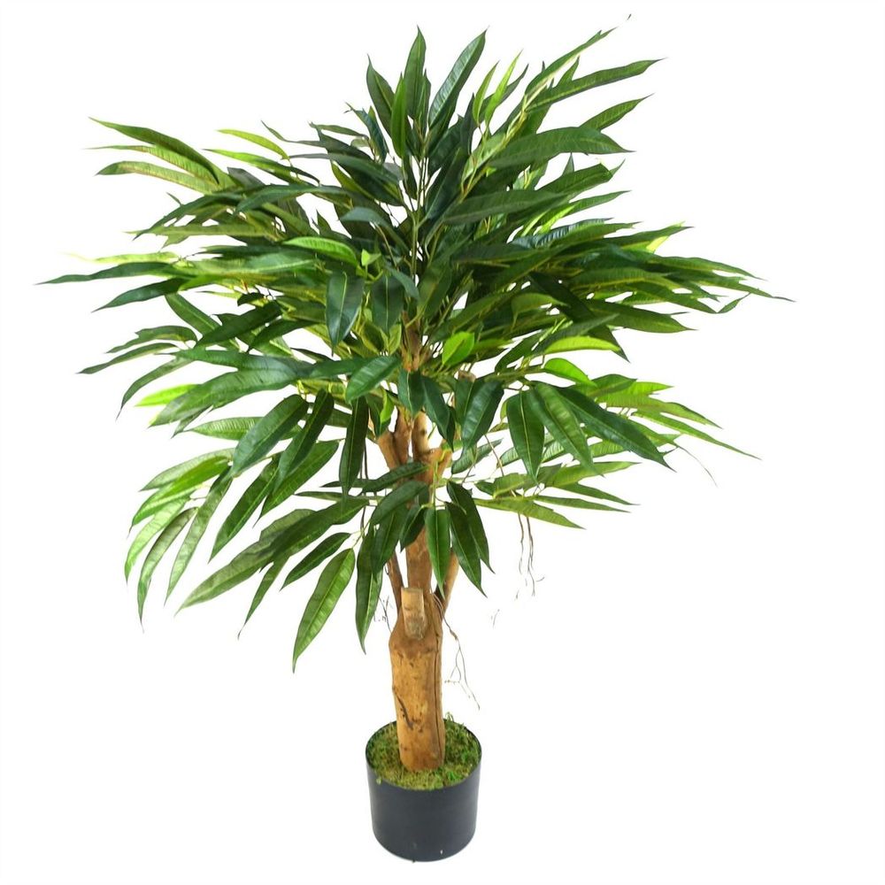 100cm Longifolia Ficus Tree - Natural Trunk for Stunning Decor