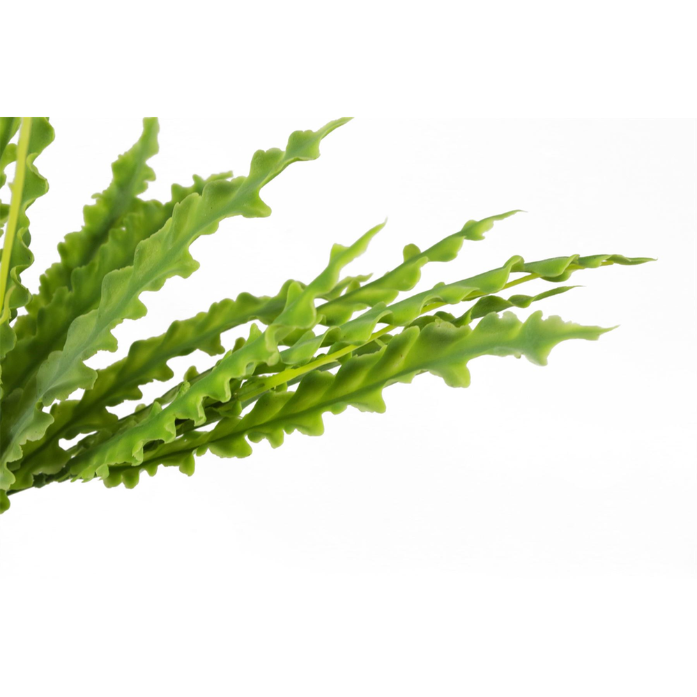 40cm Artificial Crocodile Fern Plant for Lush Indoor Greenery