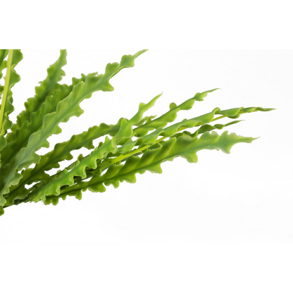 40cm Artificial Crocodile Fern Plant for Lush Indoor Greenery