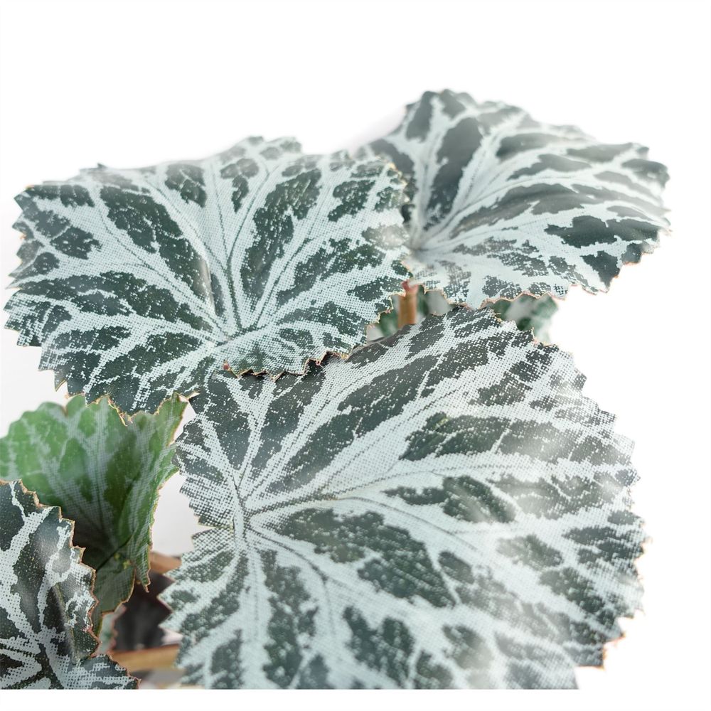 Set of 6 x 50cm Artificial Trailing Begonia Plants