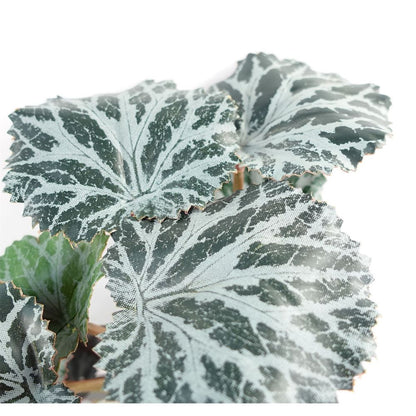 Set of 6 x 50cm Artificial Trailing Begonia Plants