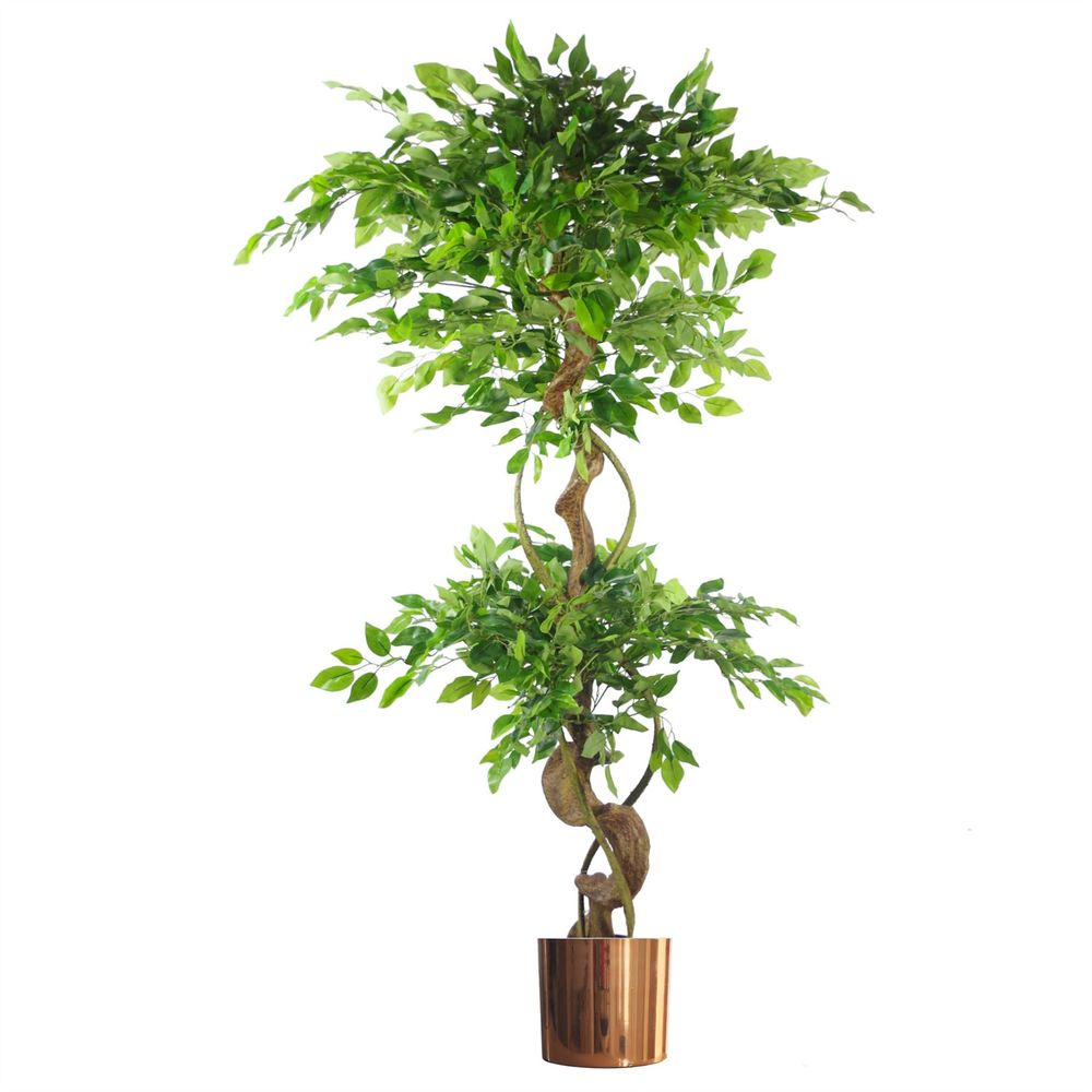 150cm Twisted Trunk Artificial Japanese Fruticosa Ficus Tree with Copper Planter for Stylish Decor