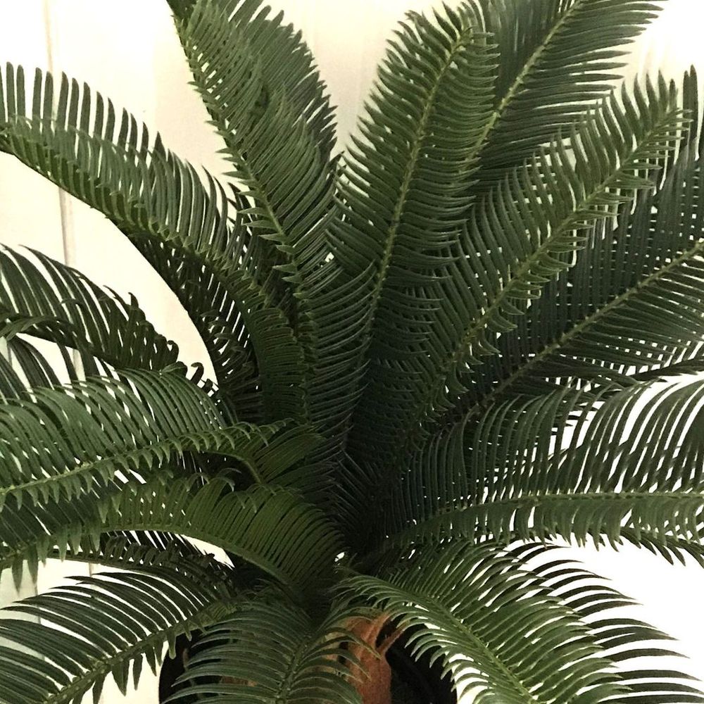 70cm Artificial Tropical Cycas Palm Plant for Exotic Indoor Appeal
