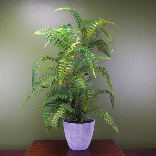 70cm Artificial Tree Fern with Decorative Planter for Stylish Decor