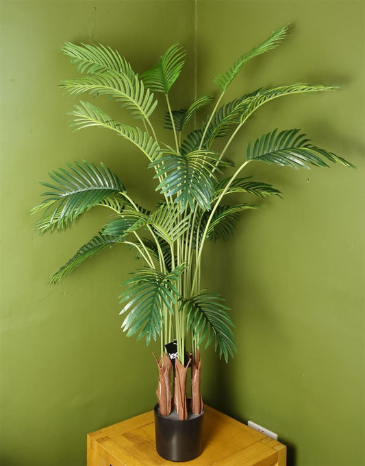 150cm Large Areca Palm Tree - Stylishly Potted in Black for Chic Decor