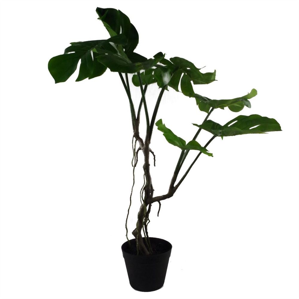 70cm Twisted Stem Artificial Monstera Plant