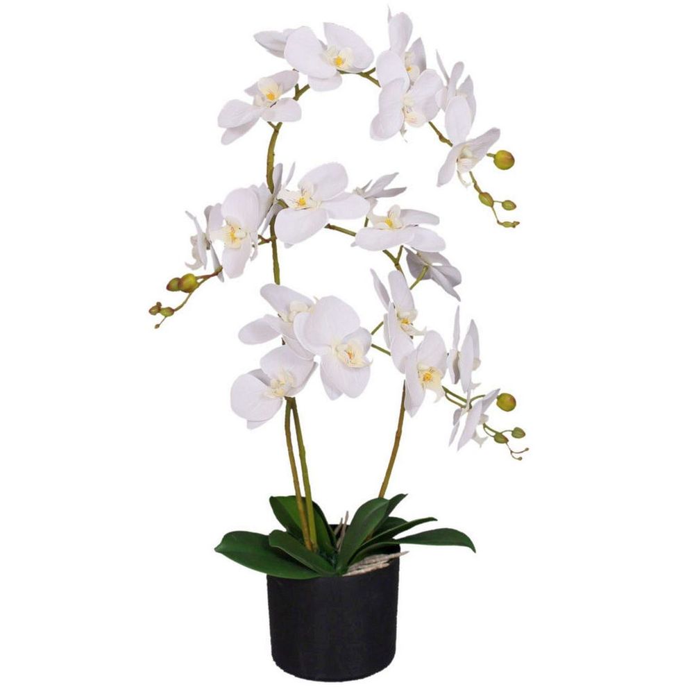 65cm Realistic Artificial Orchid Flower Display in Pot