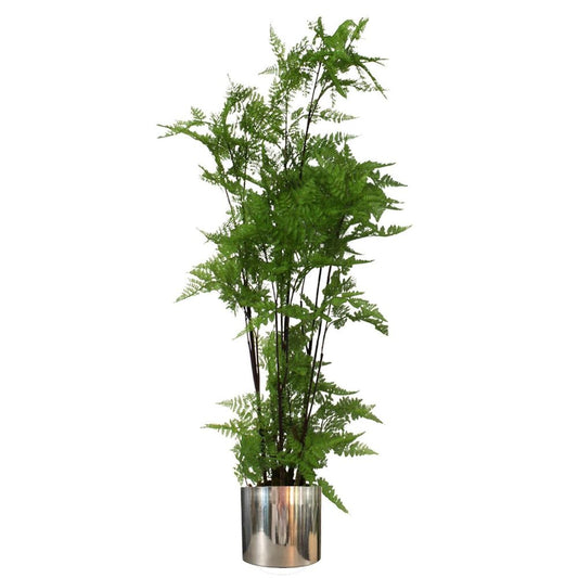 150cm Artificial Fern Plant with Natural Moss Base in Silver Metal Planter