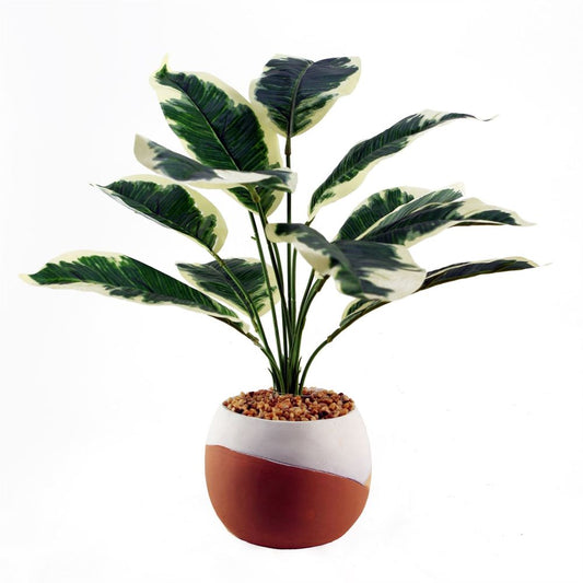 40cm Variegated Pothos Plant with Planter - Artificial