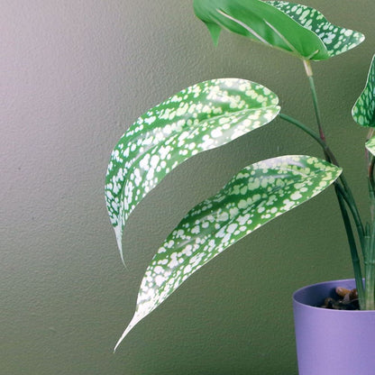 35cm Spotted Leopard Plant - Artificial in Planter