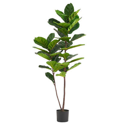 150cm Premium Fiddle Fig Tree - Lifelike Decor for Every Room