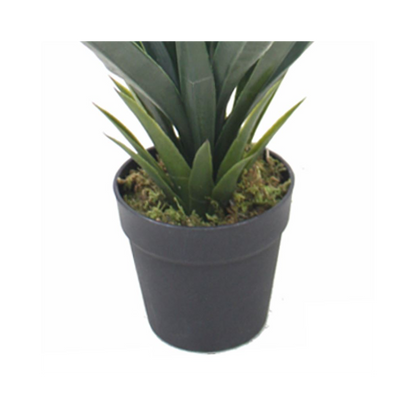 60cm Yukka Style Green Agave Succulent - Artificial Plant