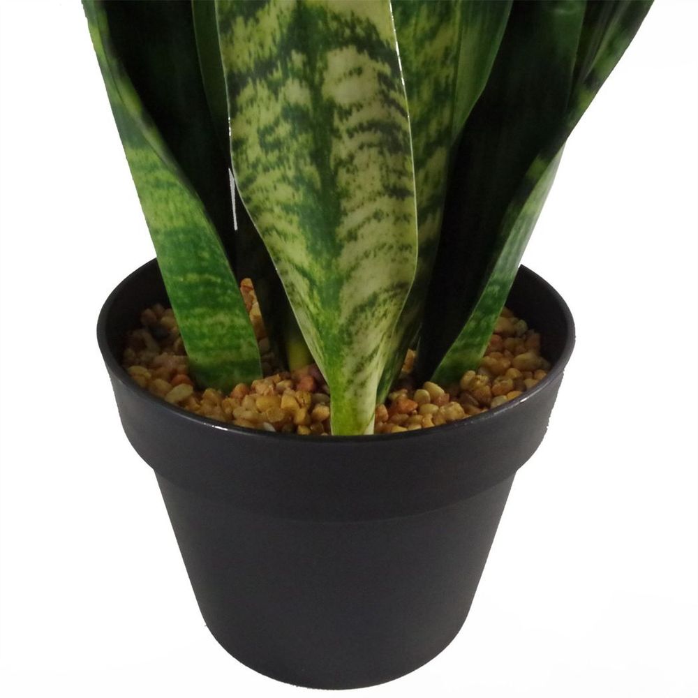 70cm Artificial Sansevieria Zeylanica Plant for Striking Indoor Decor